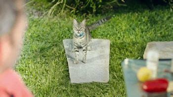 Temptations Cat Treats TV Spot, 'Caminar sobre el agua' created for Temptations Cat Treats