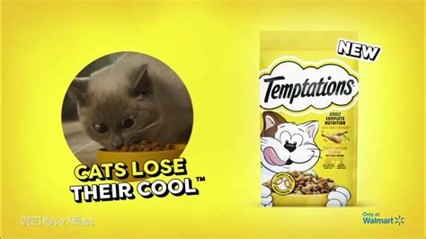 Temptations Cat Treats TV commercial - Cats Lose Their Cool