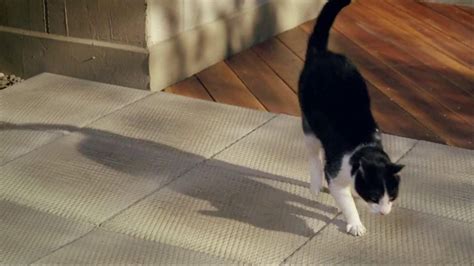 Temptations Cat Treats TV commercial - Off the Balcony
