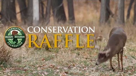 Tennessee Wildlife Resourses Agency TV commercial - License Renewal