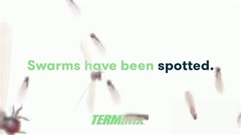 Terminix TV commercial - Termite Swarms