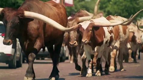 Texas Tourism TV commercial - Where the Wild West Lives On