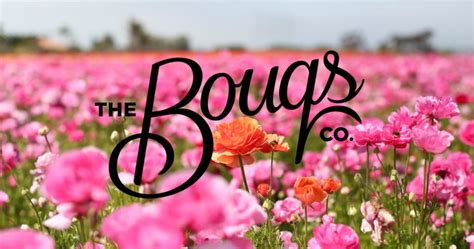 The Bouqs Company Butterflies logo