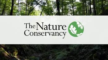 The Nature Conservancy TV Spot, 'Forest: Just Like You'