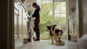 The Nutro Company TV commercial - Growing Healthy Dogs
