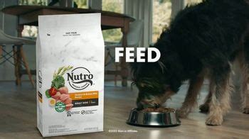 The Nutro Company TV commercial - Natural Energy