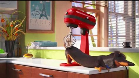 The Secret Life of Pets: Off the Leash TV Spot, 'Coming to Life' featuring Chloe Dolandis