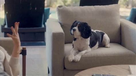 The Shelter Pet Project TV Spot, 'Adopt Pure Love: Olivia Munn' Song by Peggy Scott & Jo Jo Benson featuring Olivia Munn