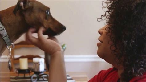 The Shelter Pet Project TV Spot, 'Renee and Turtle'