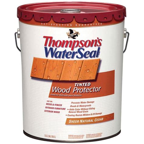 Thompson's Water Seal Advanced Tinted Wood Protector photo