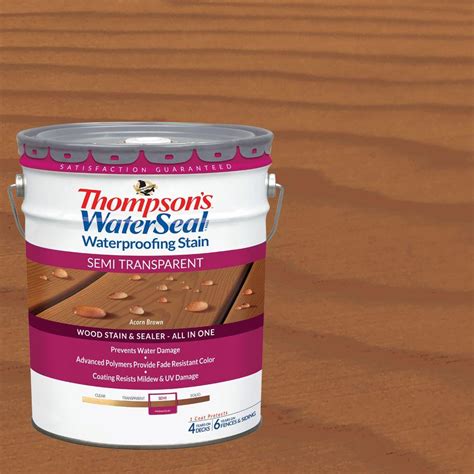 Thompson's Water Seal Semi-Transparent Wood Stain and Sealer All-in-One