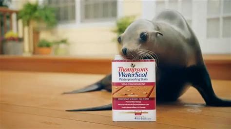 Thompson's Water Seal Waterproofing Stain TV Spot, 'Seal'