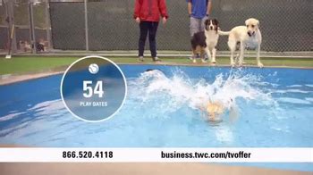 Time Warner Cable Business Class TV Spot, 'Paw Beach Pet Resort'