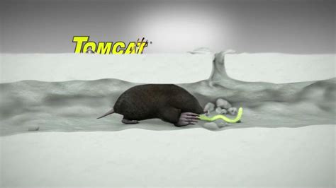 Tomcat TV commercial - Moles