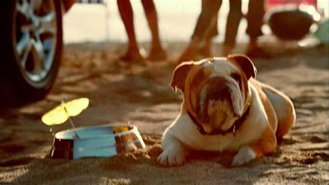 Toyota RAV4 TV commercial - Dogs Great Day
