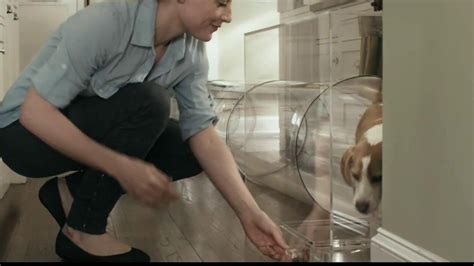Trifexis TV Spot, 'Dog Tube'