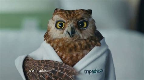 Trip Advisor TV Spot, 'A Price That Fits' featuring Tony Collins Fogarty