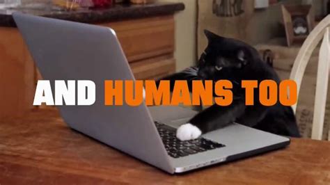 Truth TV Spot, 'CATmageddon' created for Truth