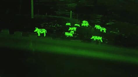 Ultimate Night Vision TV Spot, 'Next Level Night Hunting' created for Ultimate Night Vision