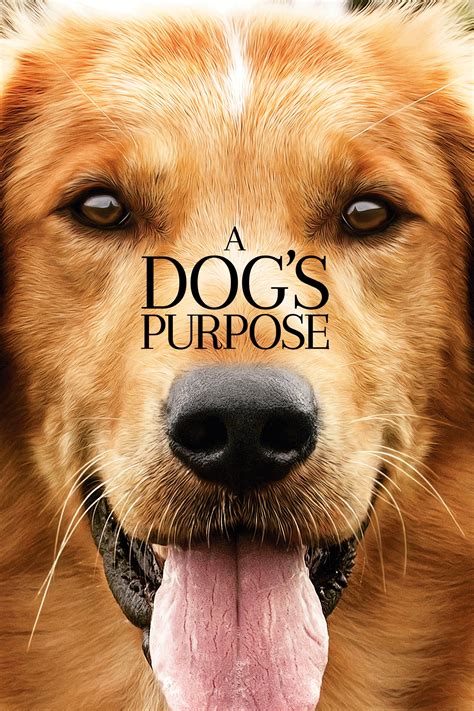 Universal Pictures A Dog's Purpose logo