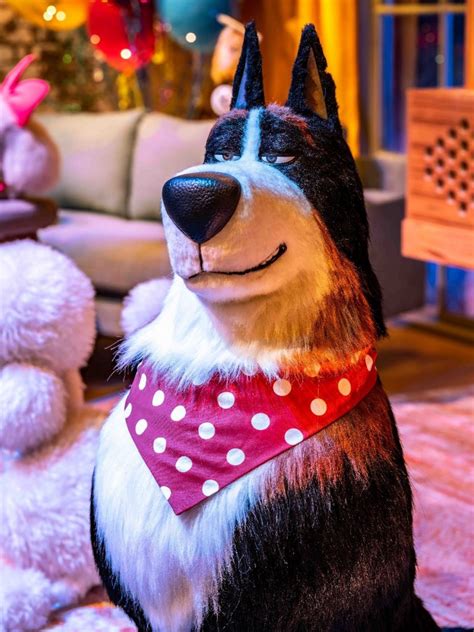 Universal Studios Hollywood TV Spot, 'The Secret Life of Pets: Off the Leash - Mirror'