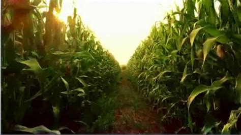Valero TV commercial - Corn With Ambition: Changing the Game