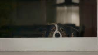 Verizon TV Spot, 'Dog'