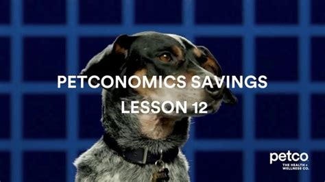 Vital Care by PETCO TV commercial - Petconomics Savings Lesson 12