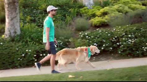 Wag! TV Spot, 'In Good Hands' created for Wag Labs, Inc.