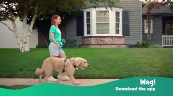 Wag! TV Spot, 'While You're Out' created for Wag Labs, Inc.