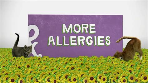 Walgreens TV Spot, 'Corner of Allergies and More Allergies'