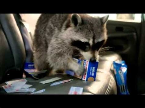 Walgreens TV commercial - Road Trip and Raccoons