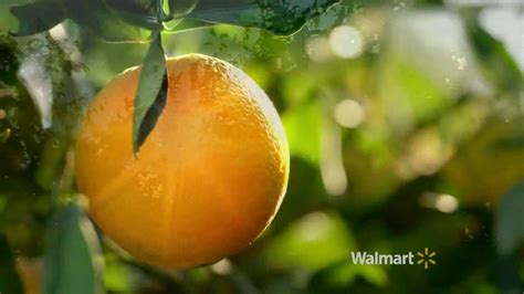 Walmart TV commercial - Oranges