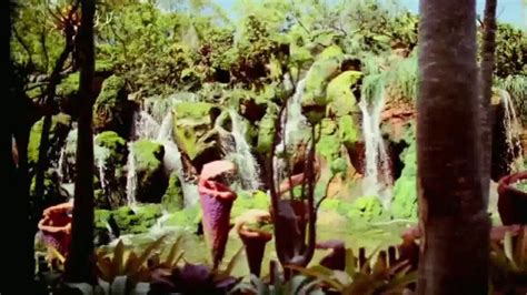 Walt Disney World TV Spot, 'Disney 365: Pandora' featuring Booboo Stewart