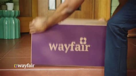 Wayfair TV Spot, 'Done' featuring Natasha Nascimento