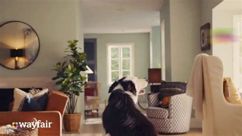 Wayfair TV commercial - Just for You