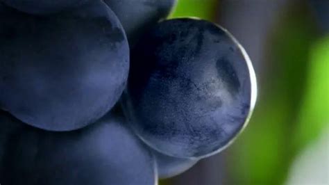 Welch's TV Spot, 'Health Benefits' created for Welch's