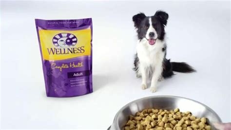 Wellness Pet Food TV commercial - All Natural
