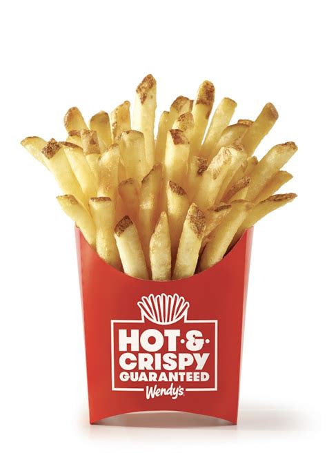Wendy's Hot & Crispy Fries logo