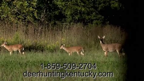 Whitetail Heaven Outfitters TV commercial - Intensely Managed Land