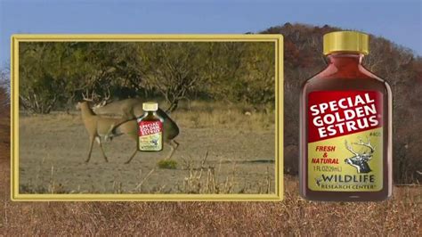 Wildlife Research Center Special Golden Estrus TV commercial - Cant Resist