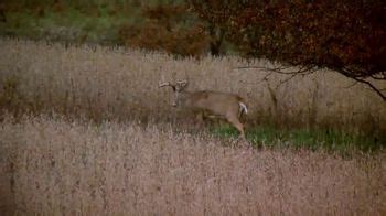 Wildlife Research Center TV Spot, 'Scrape Hunting' Featuring Don Kisky