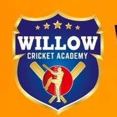 Willow Cricket Academy logo