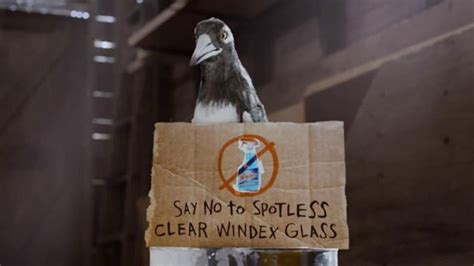 Windex TV commercial - Say No to Clear Glass