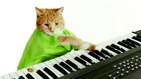 Wonderful Pistachios TV commercial - Keyboard Cat