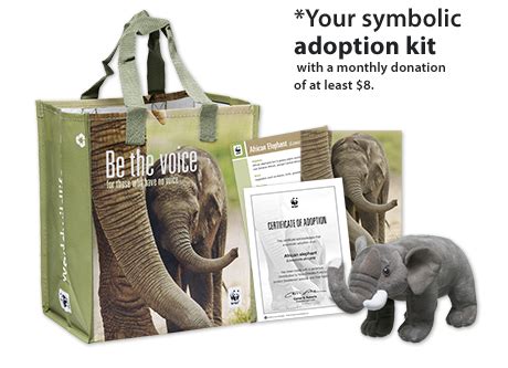 World Wildlife Fund Elephant Adoption Kit
