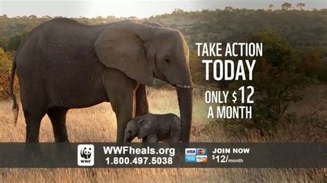 World Wildlife Fund TV commercial - A World Without Elephants