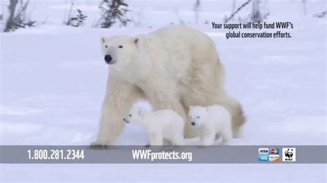 World Wildlife Fund TV Spot, 'Home: Polar Bears' created for World Wildlife Fund