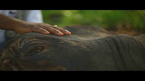 World Wildlife Fund TV Spot, 'Illegal Trade: Elephant Calf' featuring Zach Mayo