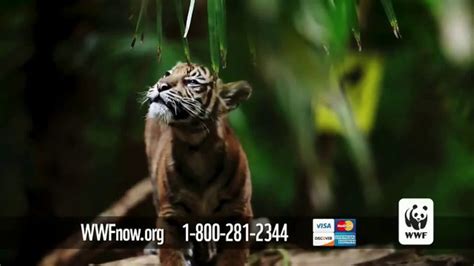 World Wildlife Fund TV commercial - Natural World